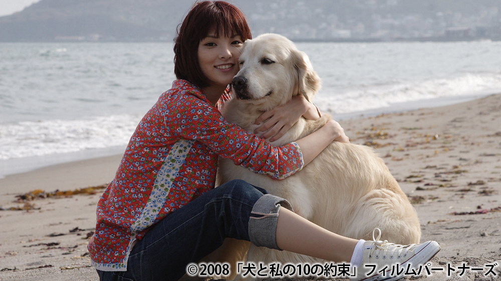 シネマクラブ「犬と私の10の約束」