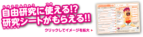 自由研究に使える!?研究シートがもらえる!!